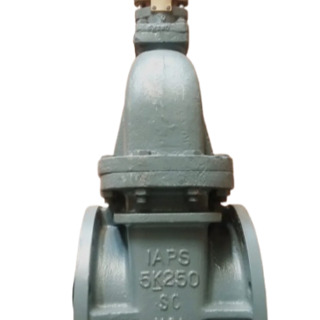 MARINE GATE VALVE  - Marine Valves showing detailed view with specifications and design features in realistic presentation